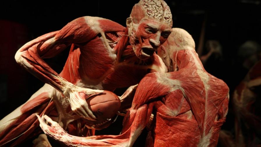 Body Worlds en Dominicana