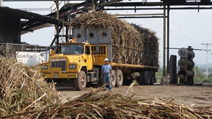 Caei estima en 93 mil toneladas producción