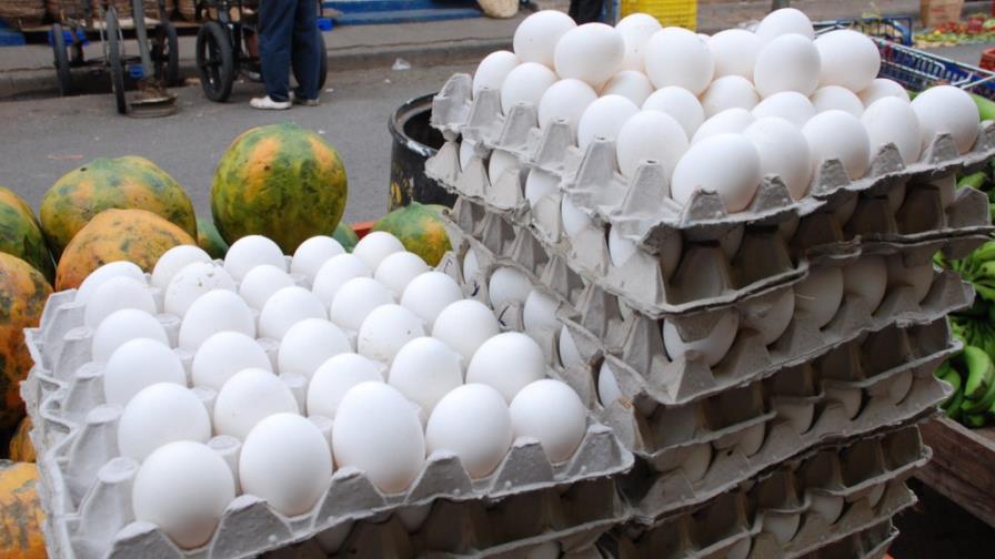 Especulación alcanza precios de los huevos Especulación alcanza precios de los huevos