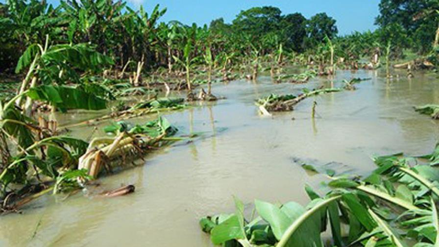 Disponen de RD$200 MM para asistir a productores