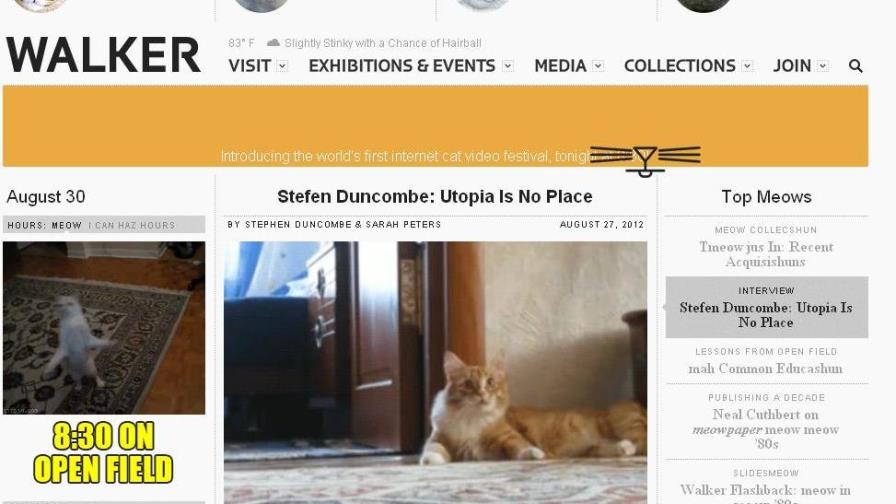 Gatos estelarizan festival de cine en Minneapolis