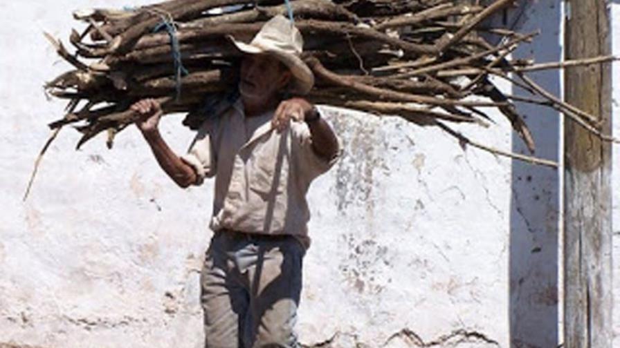 Registran aumento uso leña para cocinar Registran aumento uso leña para cocinar