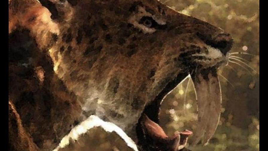 El tigre diente de sable y el león americano no se extinguieron por hambre