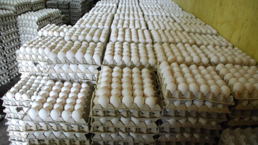 Carne pollo debe llegar a RD$43 y huevo a RD$4 Carne pollo debe llegar a RD$43 y huevo a RD$4