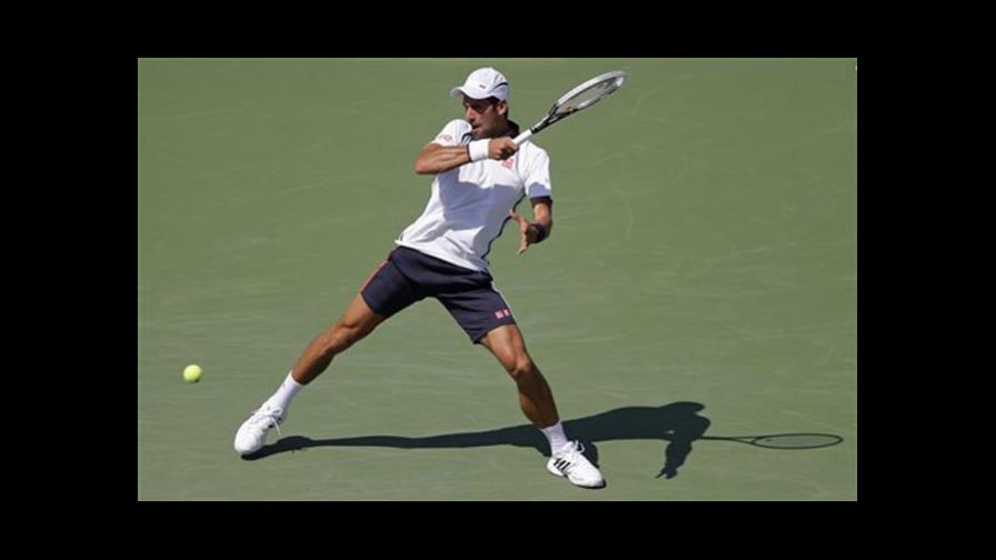Djokovic y Ferrer avanzan en el US Open