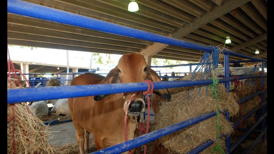 Ganaderos invitan a participar en vigésimo quinta edición de feria agropecuaria