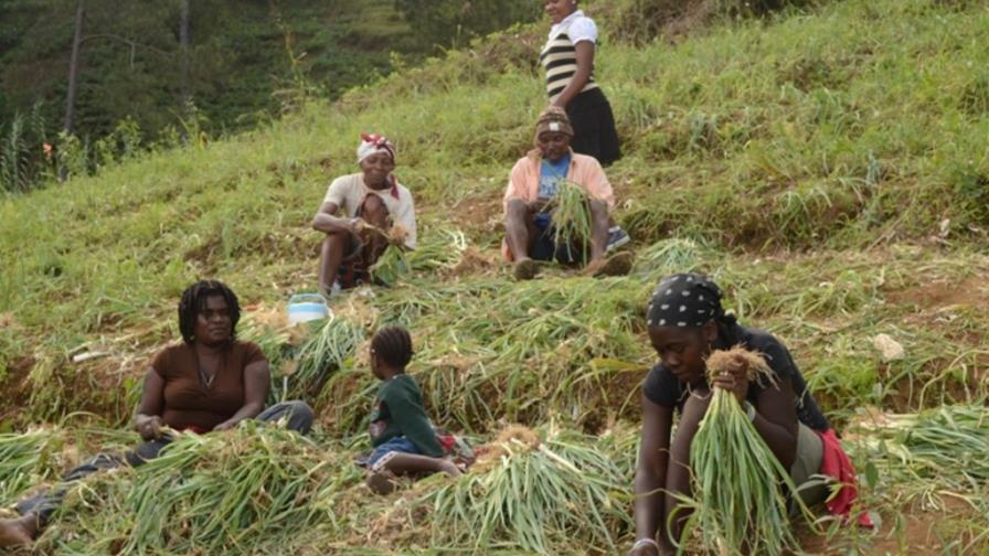 En República Dominicana viven 458,233 haitianos, establece censo de Estadísticas