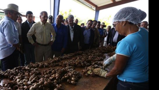 Danilo Medina se reúne con productores agrícolas de Bayaguana
