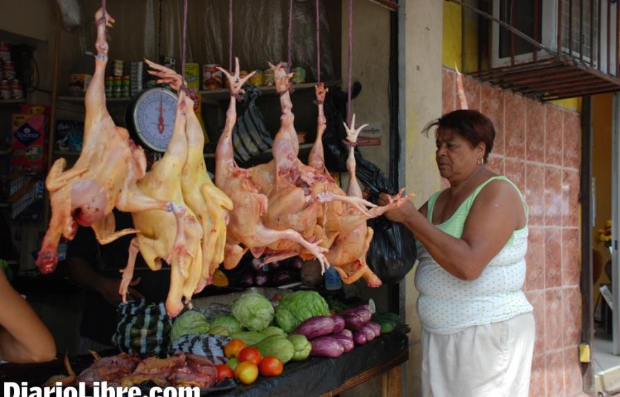 Aseguran venta de pollos continúa en Haití