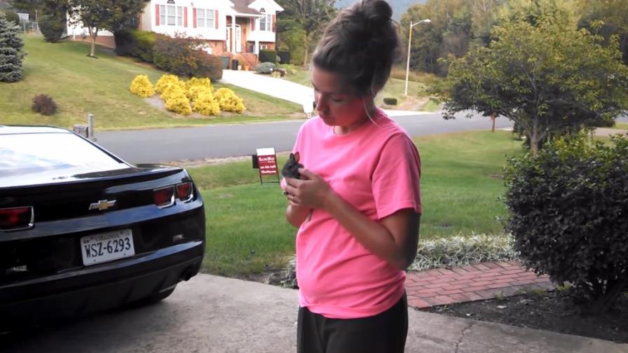 Los conejos pueden volar