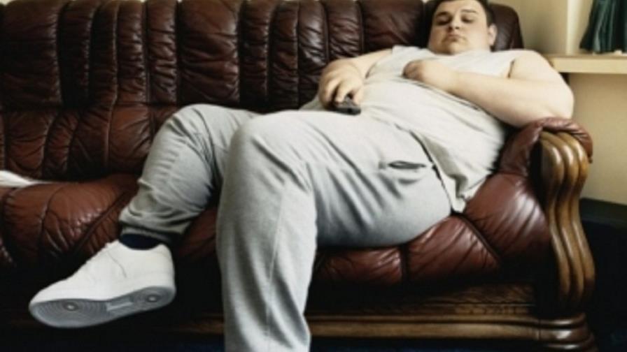 Estudios: La fructosa podría provocar obesidad