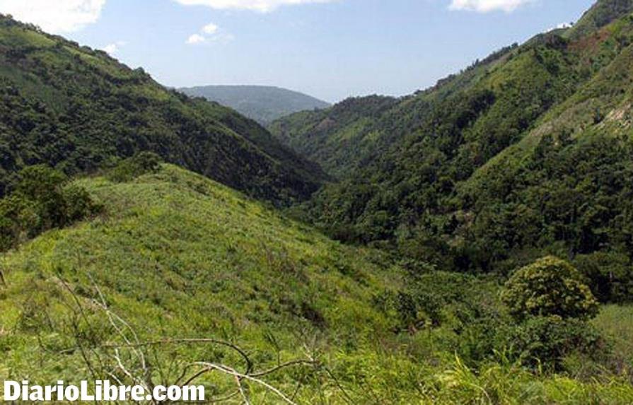 Ecologistas alertan por tragedia en Sierra de Bahoruco