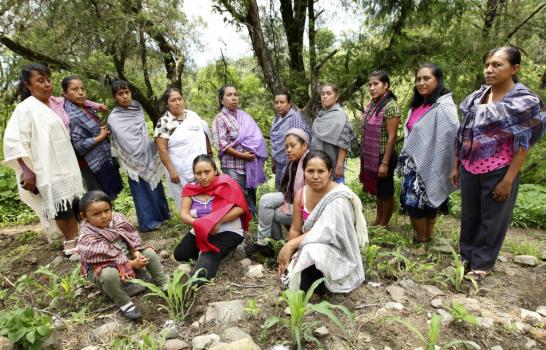 Artesanos y antropólogos mexicanos, al rescate de los rebozos tradicionales