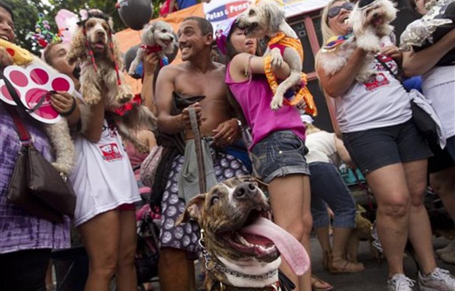 Carnaval canino ilumina calles de Río de Janeiro