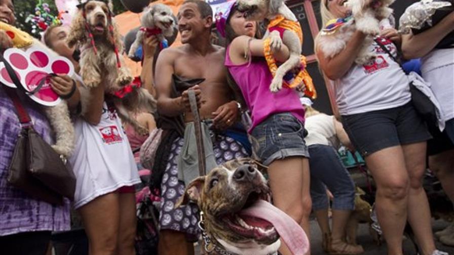 Carnaval canino ilumina calles de Río de Janeiro