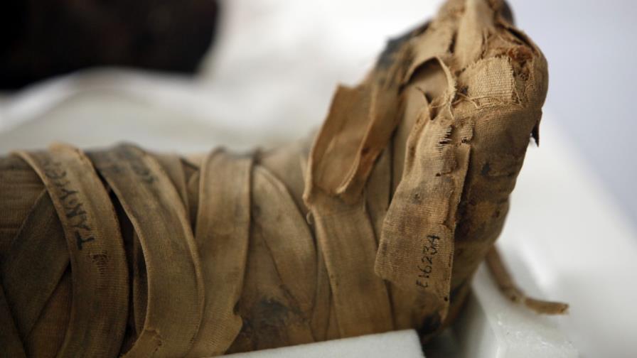 Neandertales desaparecieron antes de lo pensado