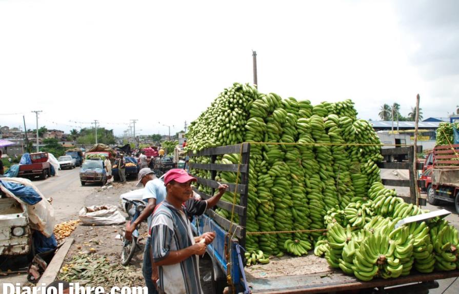 República Dominicana, con abundancia de plátanos