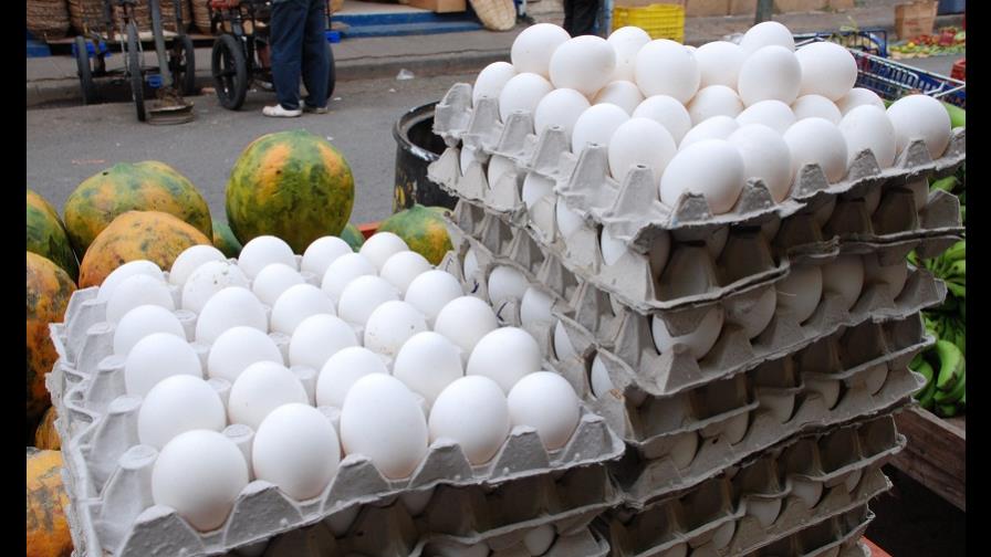 Productores de huevos dicen pierden RD$1,152 millones