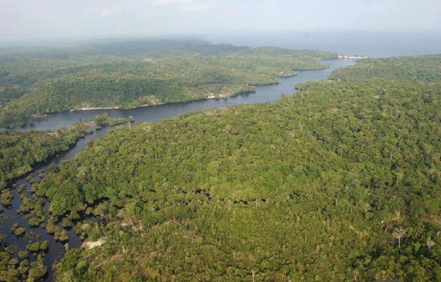 La deforestación de la selva amazónica brasileña cae 40 % entre marzo y abril