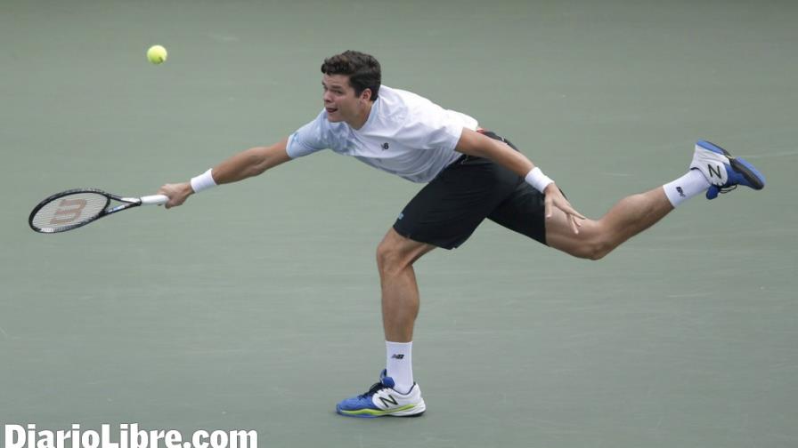 Del Potro se corona en Abierto Tokio Del Potro se corona en Abierto Tokio