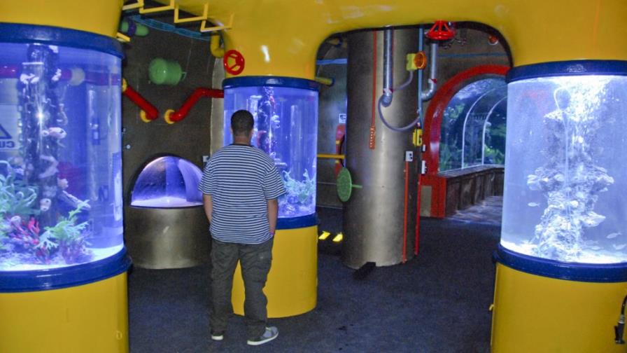 Listo acuario de Sambil con inversión US$4 millones