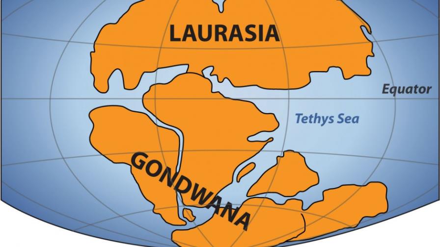 Reproducen la separación continental de Australia, India y la Antártida