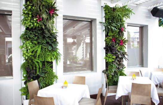 Santo Domingo ecológico… ¡De paredes a techo!