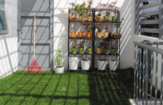 Santo Domingo ecológico… ¡De paredes a techo!