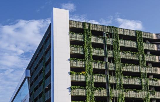 Santo Domingo ecológico… ¡De paredes a techo!