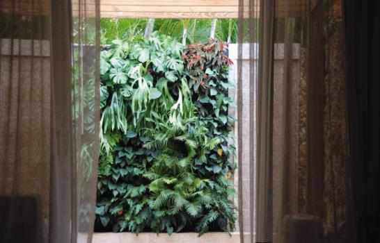 Santo Domingo ecológico… ¡De paredes a techo!