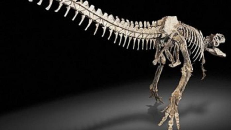 El efecto de la extinción de los dinosaurios se desdramatiza en Londres