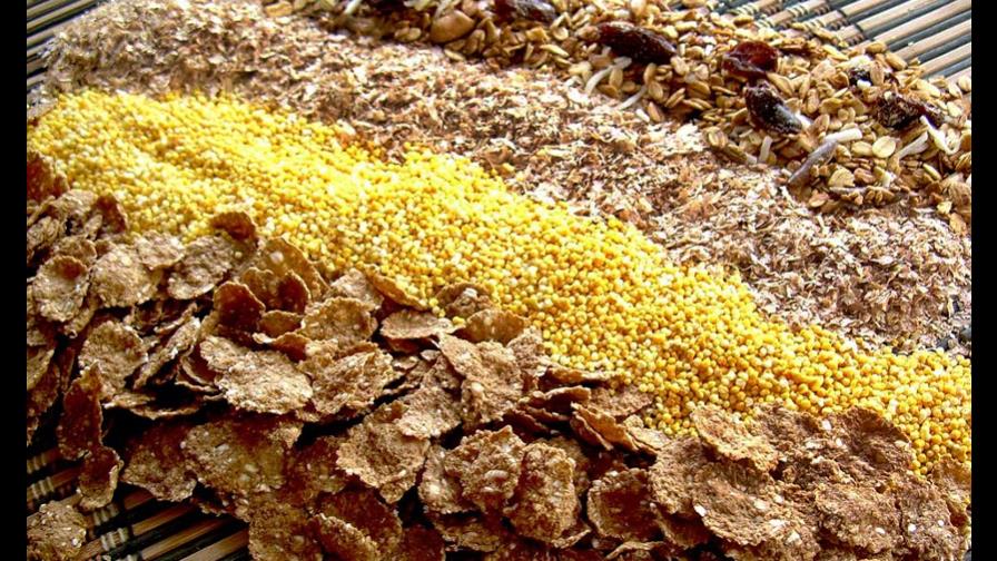 La FAO prevé un fuerte crecimiento de la producción de cereales en 2013
