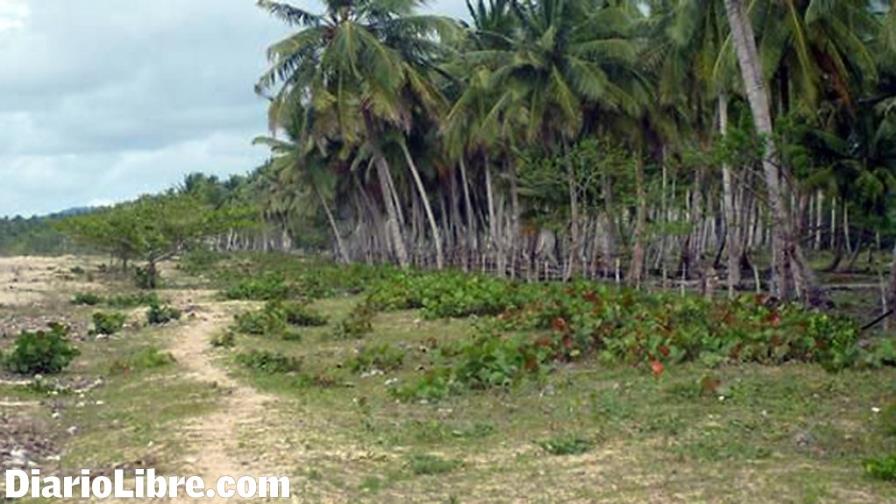 Tribunal condena empresa de venezolano Gustavo Cisneros