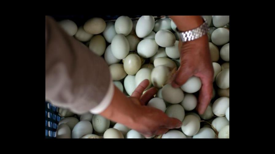 Una proteína en la clara del huevo ayuda a reducir la presión sanguínea