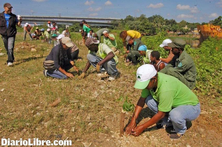 República Dominicana tiene en reserva unos 30 millones de plantas