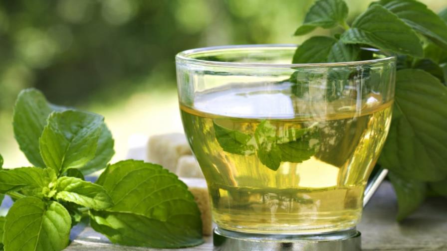 Té verde, como caído del cielo Té verde, como caído del cielo