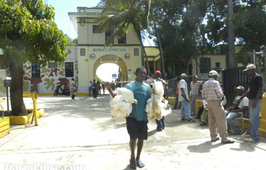 Afirman que el rechazo de Haití a los pollos dominicanos es por otro suplidor