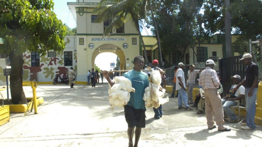 Afirman que el rechazo de Haití a los pollos dominicanos es por otro suplidor Afirman que el rechazo de Haití a los pollos dominicanos es por otro suplidor