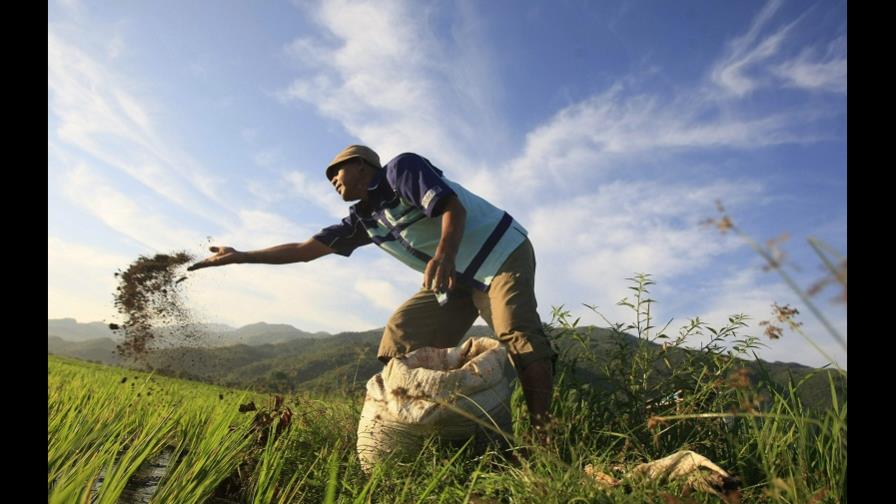 Precios de alimentos en América Latina y el Caribe bajaron un 7.0% en 2012 Precios de alimentos en América Latina y el Caribe bajaron un 7.0% en 2012