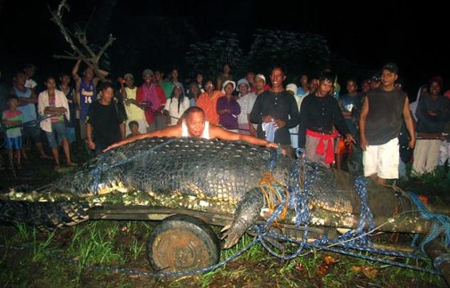 Muere cocodrilo más grande del mundo