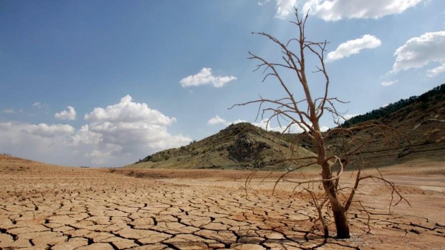 La sequía, peor desastre natural sin prevención La sequía, peor desastre natural sin prevención