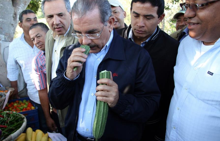 Danilo Medina ordena crédito a productores vegetales