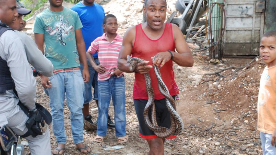 Vender culebras, ¿forma de supervivencia en en el país?