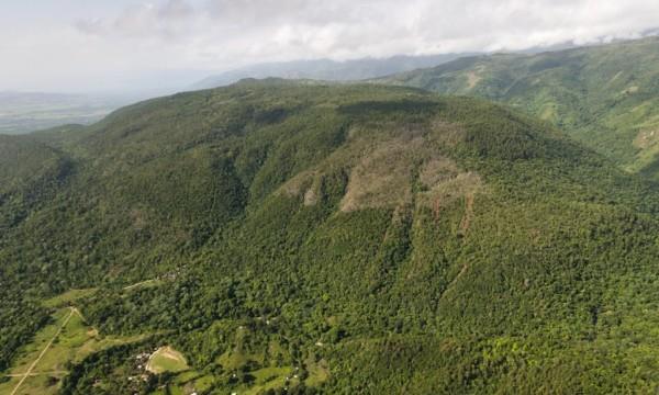 Denuncian se autorizó tala de 3,600 árboles en Loma Miranda