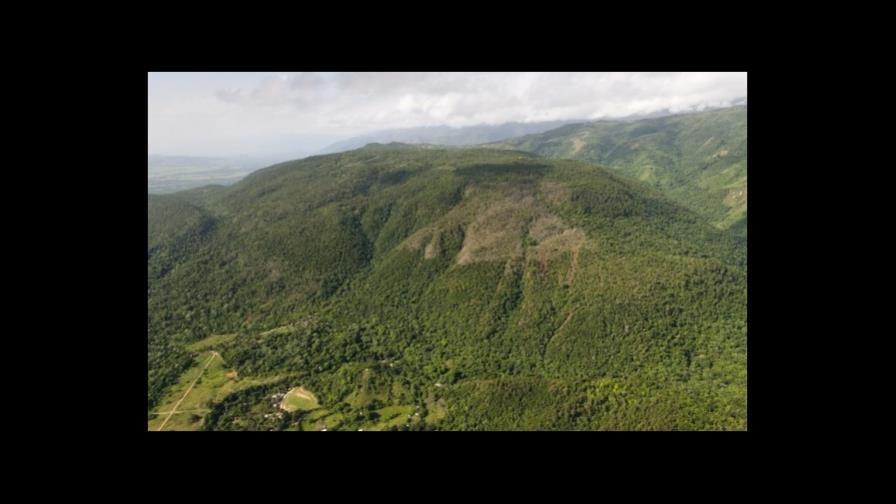 Denuncian se autorizó tala de 3,600 árboles en Loma Miranda Denuncian se autorizó tala de 3,600 árboles en Loma Miranda
