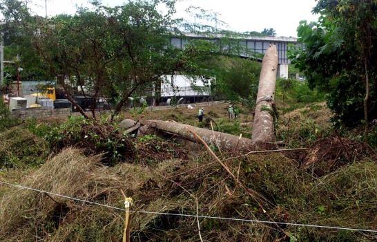 Instituciones van al rescate del área deforestada por la Opret