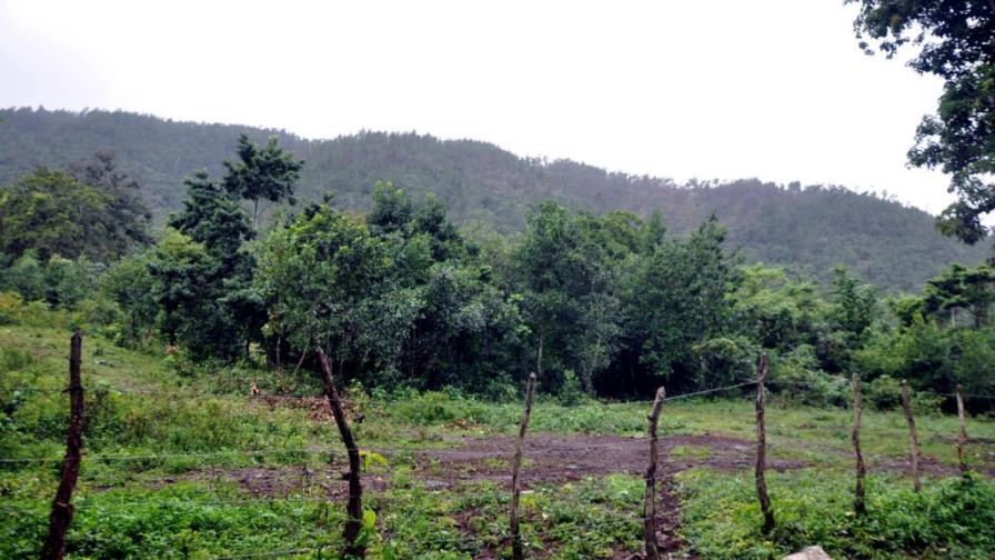 PNUD anuncia una segunda misión en Loma Miranda