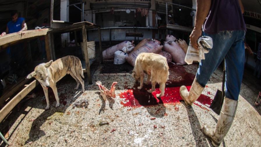 Del mercado... ¿a la mesa? Del mercado... ¿a la mesa?