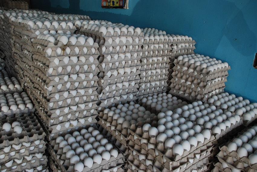 Avicultores tienen excedentes de 10 millones de huevos