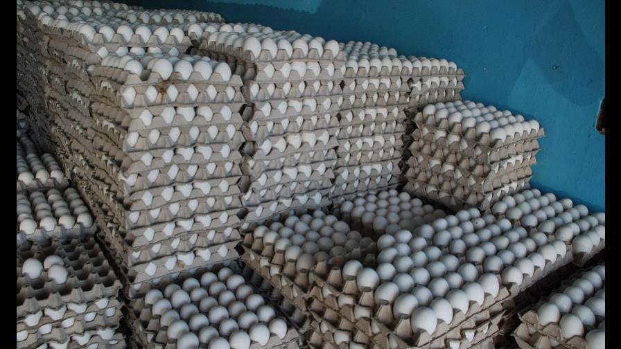 Avicultores tienen excedentes de 10 millones de huevos